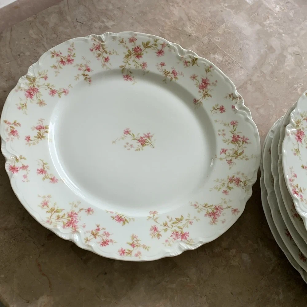 6 Vintage HAVILAND LIMOGES‎ France Fine China Pink FLOWERS 9 1/2